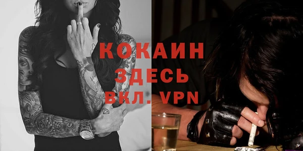 тгк Сатка