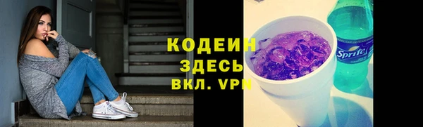 тгк Сатка