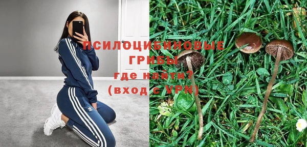 хмурый Саяногорск