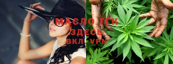 тгк Сатка