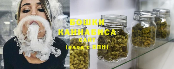 тгк Сатка