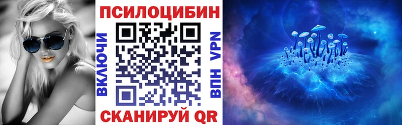 Псилоцибиновые грибы Psilocybine cubensis  Ханты-Мансийск 