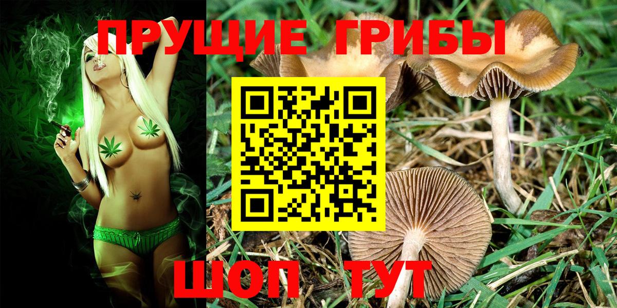 Ханты-Мансийск  Псилоцибиновые грибы GOLDEN TEACHER  Галлюциногенные грибы GOLDEN TEACHER  Вход с VPN 